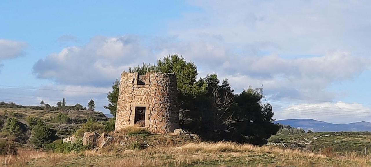 Le Coq Du Nord - Mailhac Gite Et Chambres D'Hotes Bagian luar foto