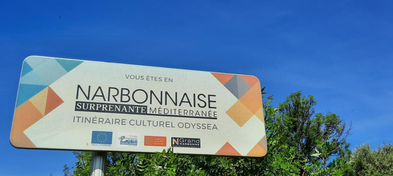 Le Coq Du Nord - Mailhac Gite Et Chambres D'Hotes Bagian luar foto
