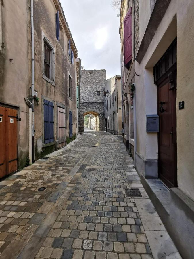 Le Coq Du Nord - Mailhac Gite Et Chambres D'Hotes Bagian luar foto
