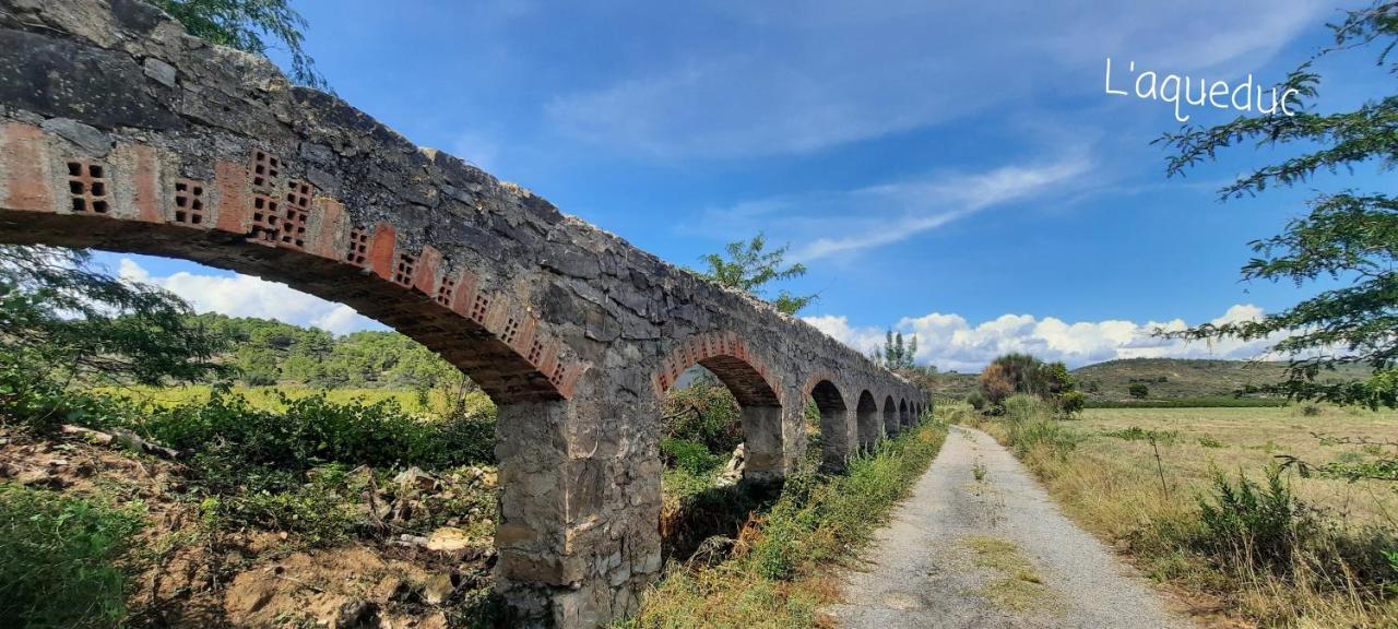 Le Coq Du Nord - Mailhac Gite Et Chambres D'Hotes Bagian luar foto
